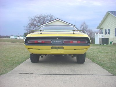 yellow with black rear.jpg